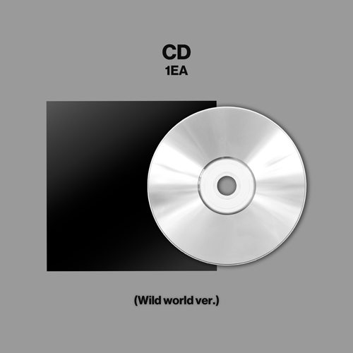 ボイスプリント／ヴィクトリー　日本盤CD ボイスプリント／ヴィクトリー 日本盤CD