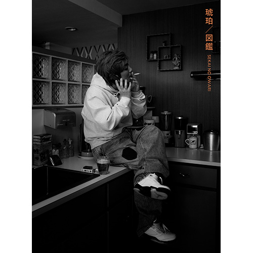 琥珀/図鑑 [初回限定盤A][CD MAXI] - SEKAI NO OWARI