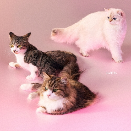 Discography - My Hair is Bad - UNIVERSAL MUSIC JAPAN